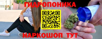 гидропоника Заводоуковск