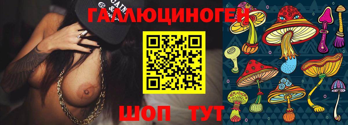 Галлюциногенные грибы Cubensis  Вход с VPN  Клинцы 