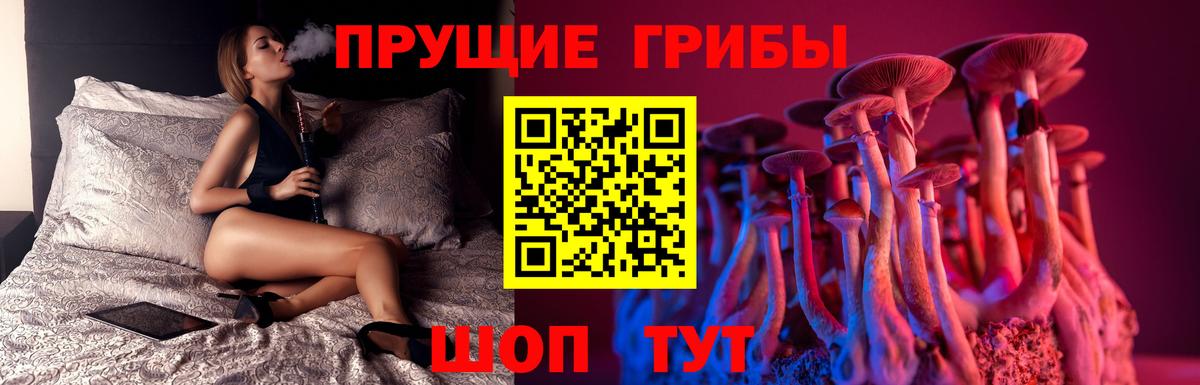 Псилоцибиновые грибы MAGIC MUSHROOMS Клинцы